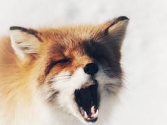 浜省熱唱してます。