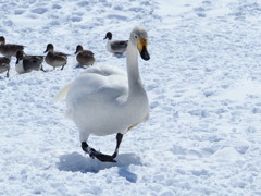 お見送りいいです。