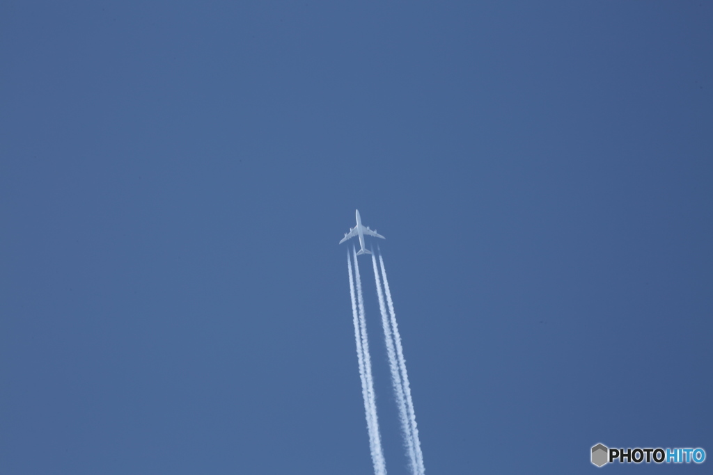 外国機 美瑛の上を掠めて行く