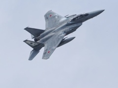 千歳航空際2022 F-15