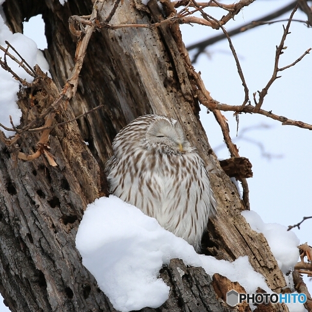 カメラ向けたとたん このソッポ！ さすが ぬしです！(笑)