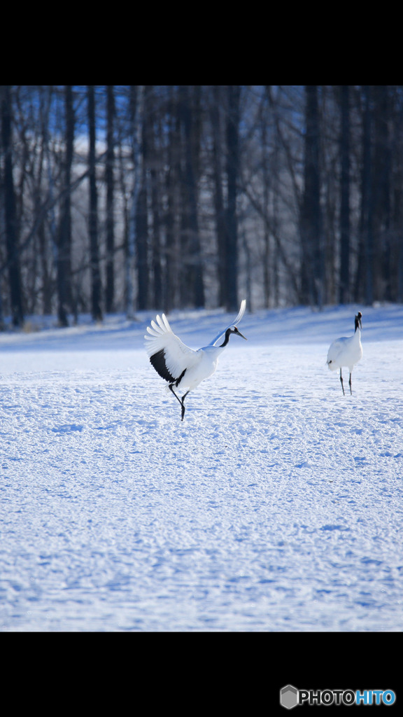 Screenshot_20170114-022215