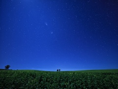 美瑛 彗星かな～