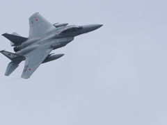 千歳航空際2022 F-15