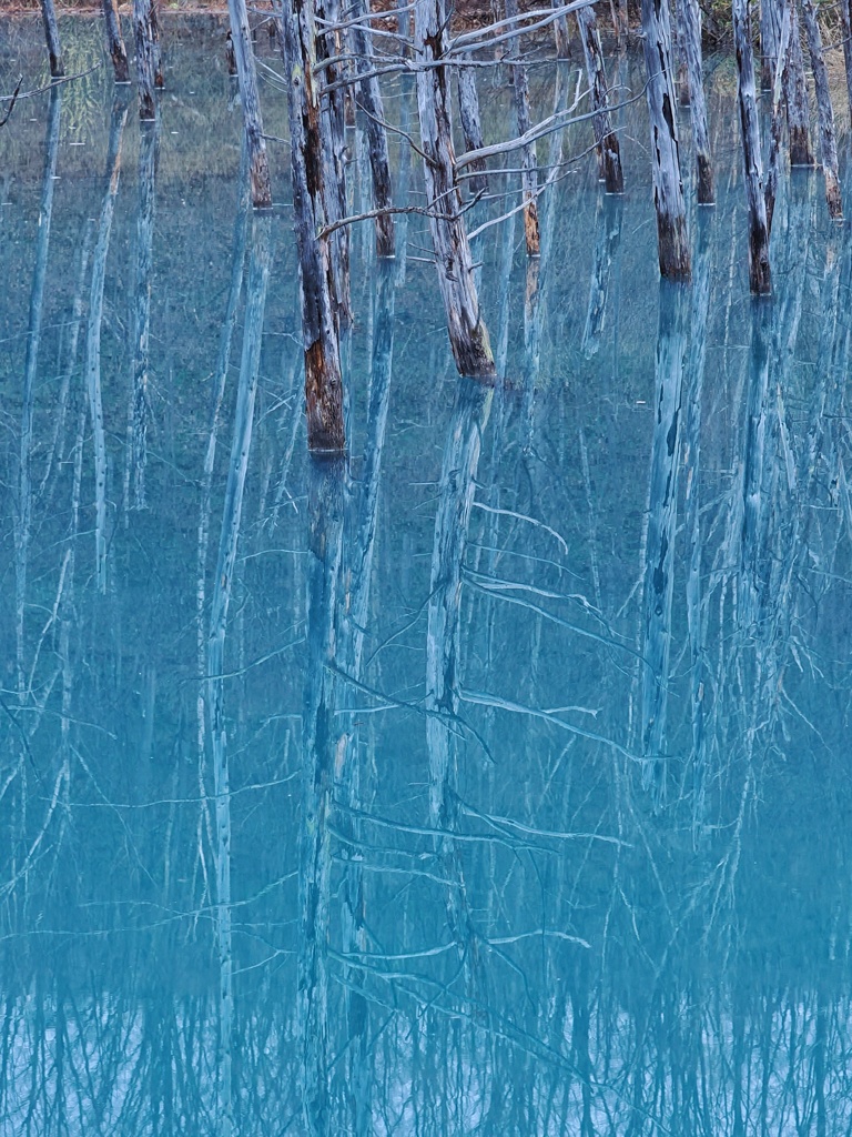 青い池