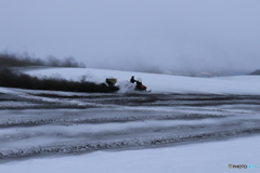 雪景色も見納めです。