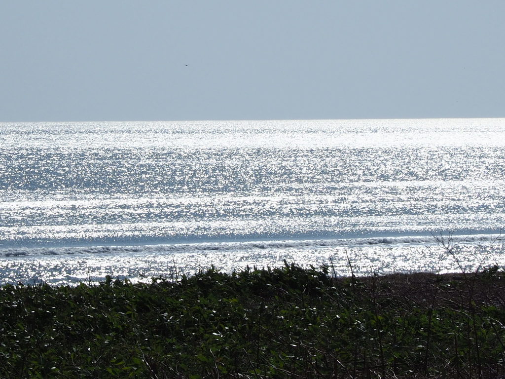 オホーツクの海じゃけん！