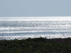 オホーツクの海じゃけん！