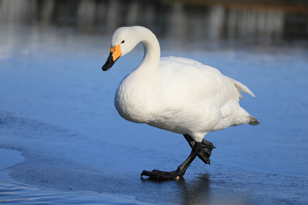 割れないように そうっと！