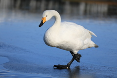 割れないように そうっと！