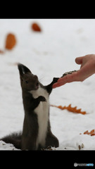 もっと手下げて～(笑)