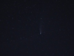 ネオワイズ彗星