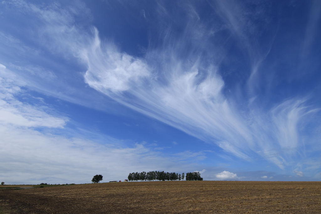 また冬が来ます！その前に✌