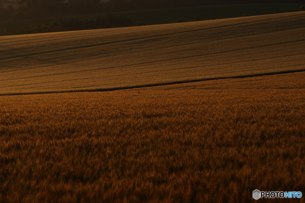 去年初夏7月撮影
