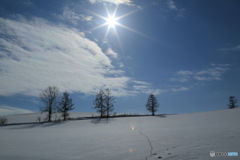 マイルドセブン2