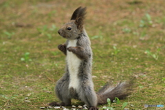 変な動きしてました！