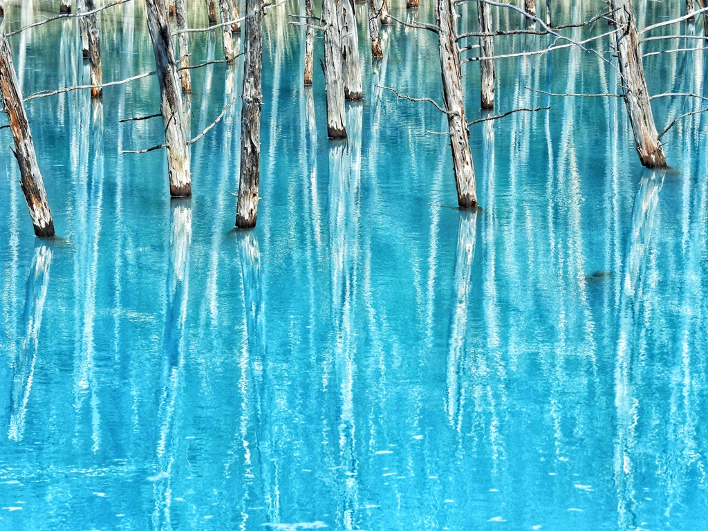 青い池