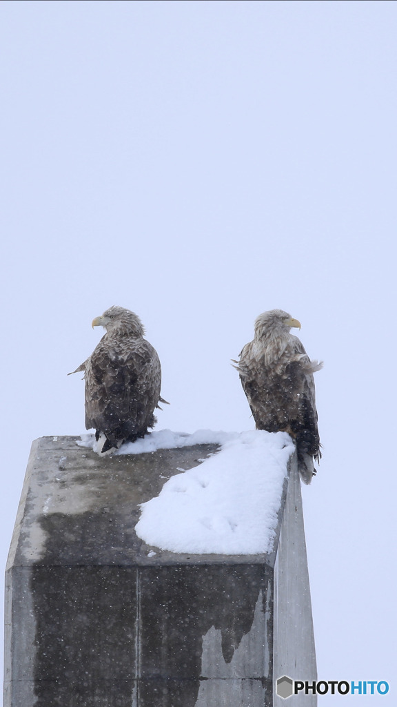 ツーショット❗ラッキーでした。