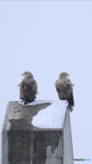 ツーショット❗ラッキーでした。