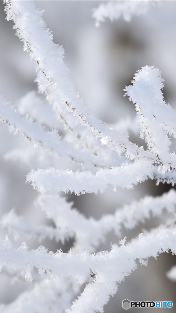 Screenshot_20170121-121212