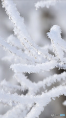 Screenshot_20170121-121212