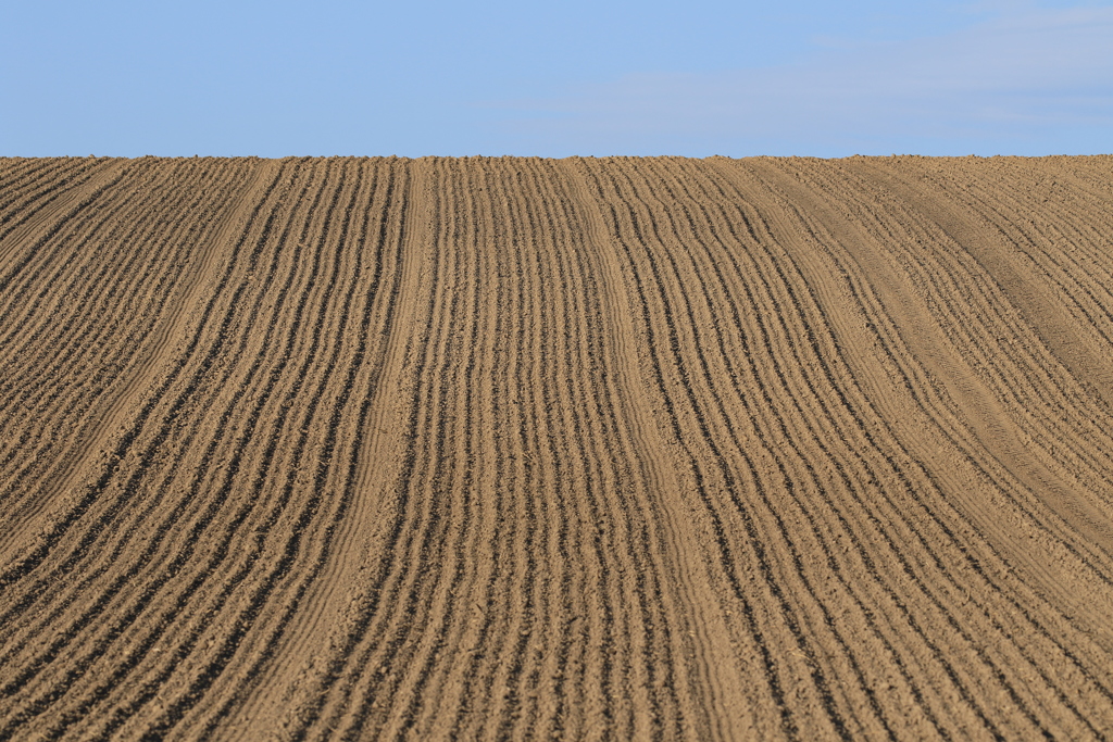 今年は どんな景色を見せてくれるのか