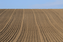 今年は どんな景色を見せてくれるのか