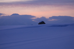 久しぶりの投稿