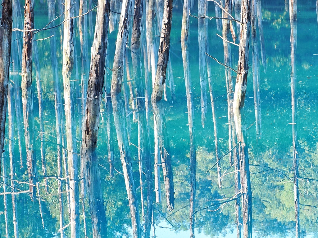 青い池