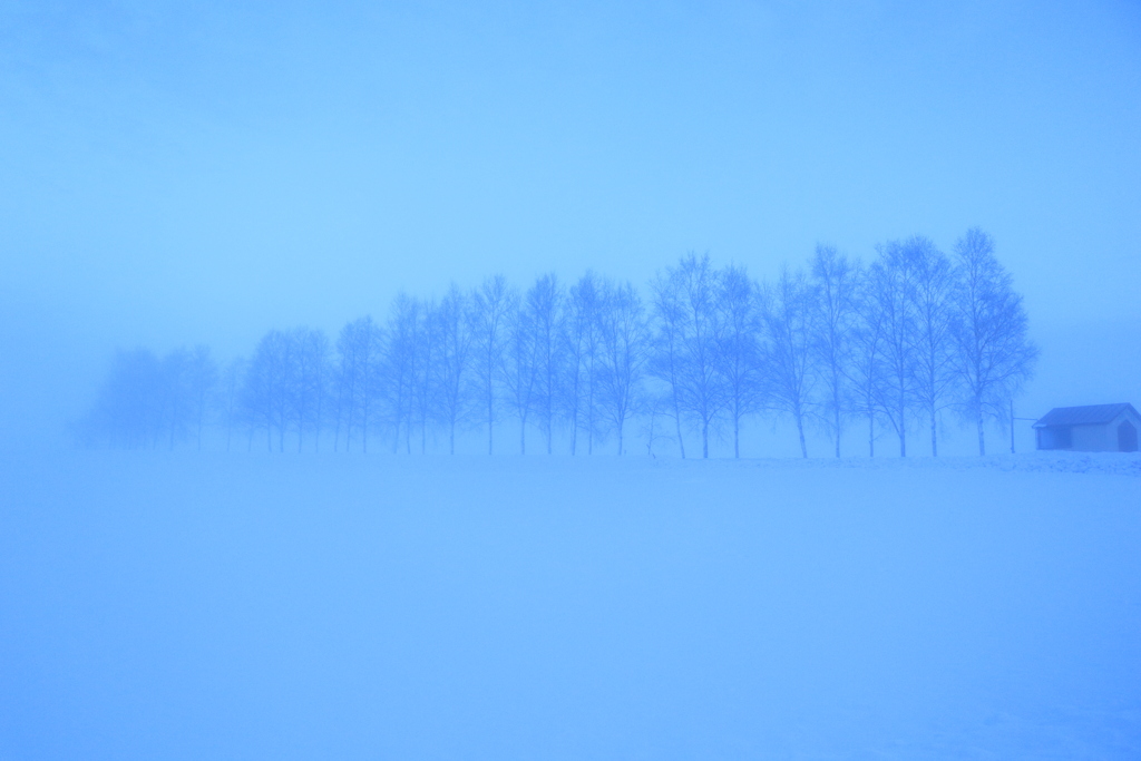 たまにガスもいい