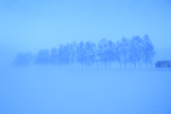 たまにガスもいい