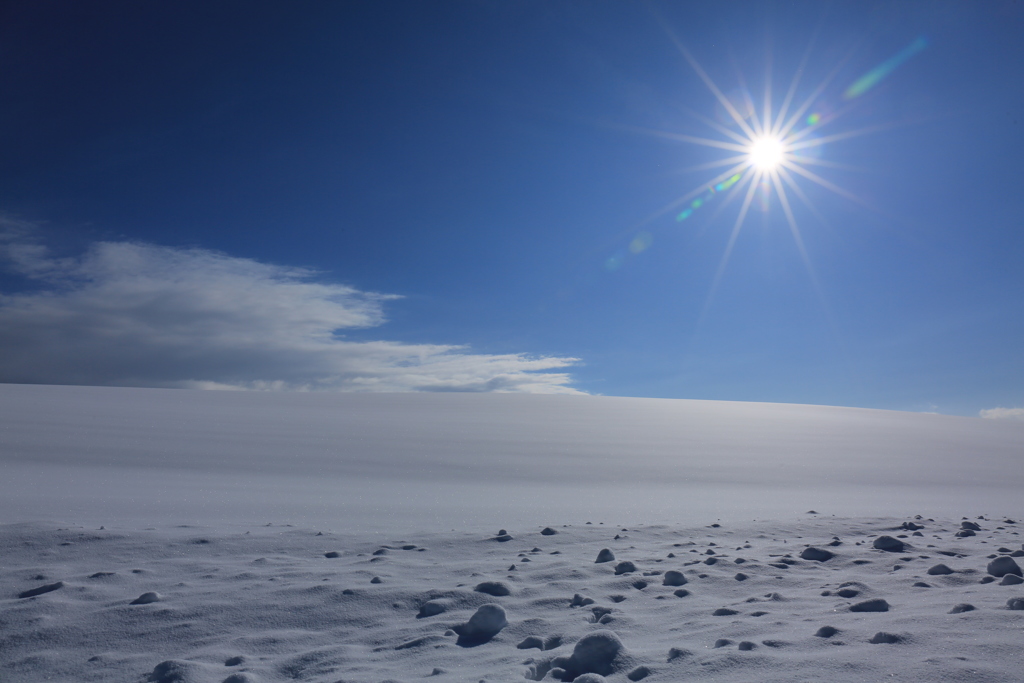晴が似合う美瑛