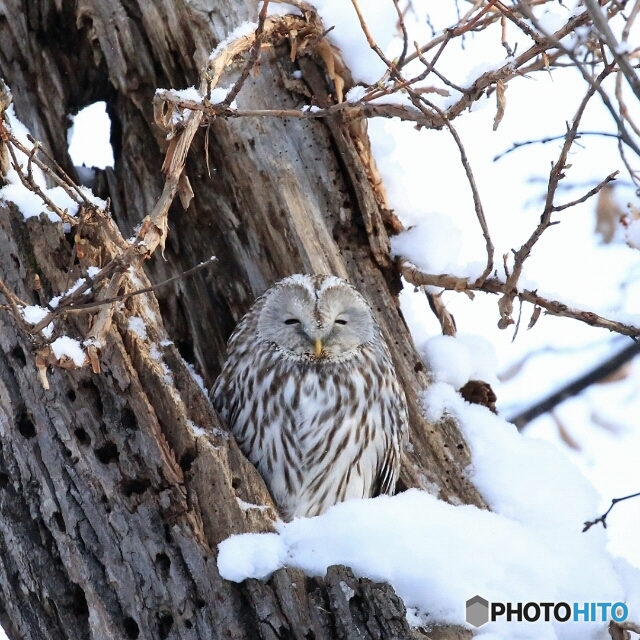 これ以上目開きません！(笑)