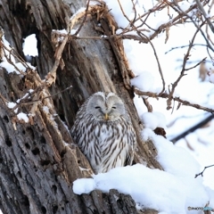 これ以上目開きません！(笑)