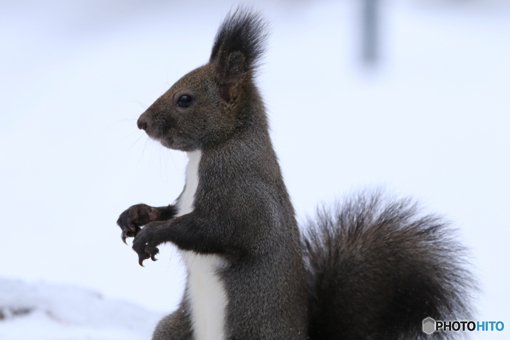 横顔も撮ってくれ❗