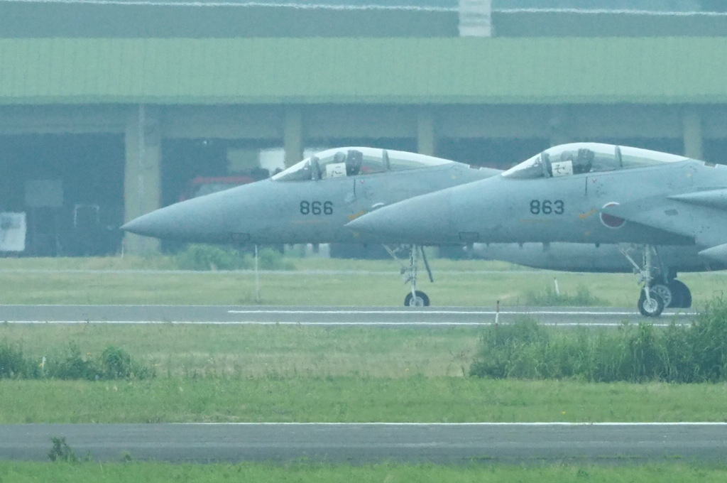 この面構えたまらん！