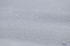 雪 好きです。
