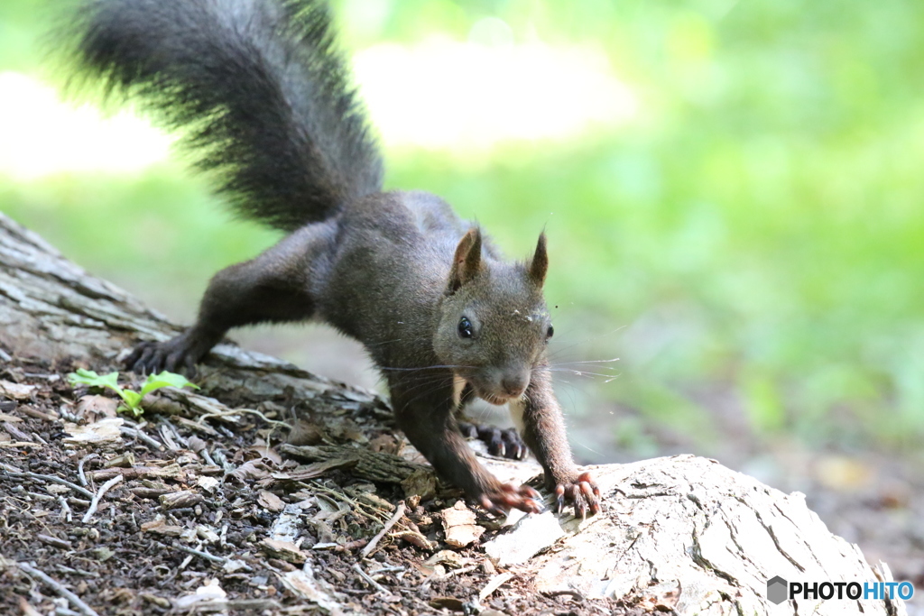 今日は 何持って来た？親父