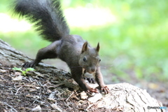 今日は 何持って来た？親父