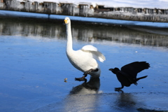 お互い足元悪い中争う！(笑)