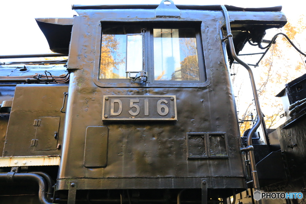D51