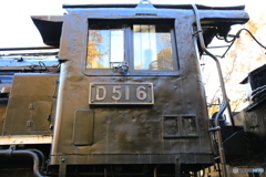 D51