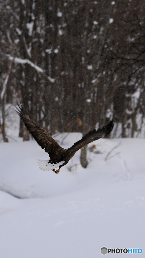 警戒心が強い！