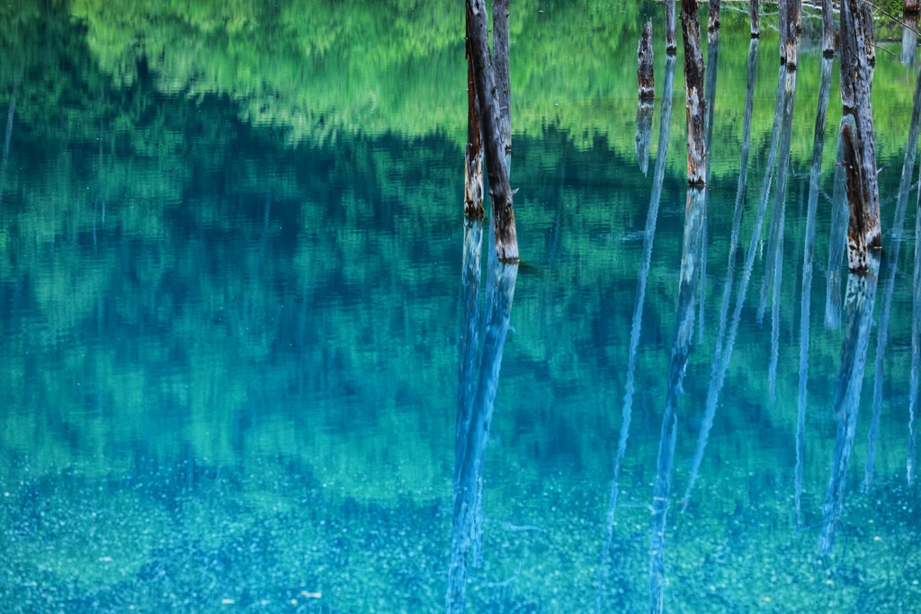 青池