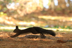 食われる前にいっぱい食べるぞ！