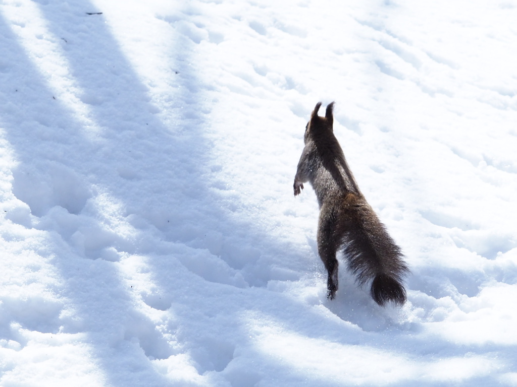 元気いっぱい！