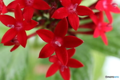 20160710074927_IMG_1342