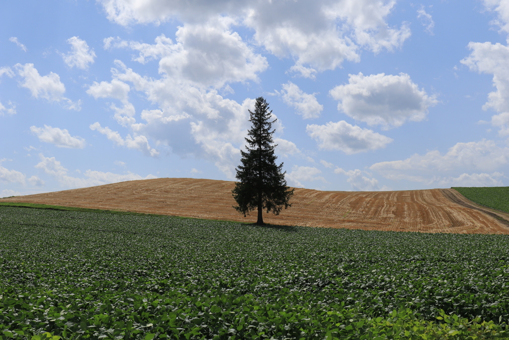 これから秋！いい季節