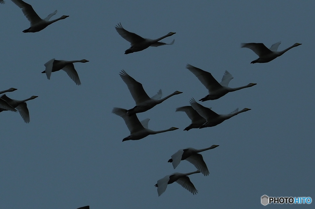 クッチャロ湖 長旅を終え戻って来ました。