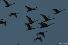 クッチャロ湖 長旅を終え戻って来ました。